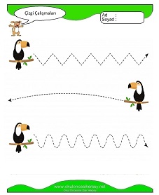 Çizgi Çalışma Sayfaları